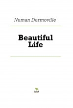 Beautiful Life