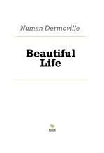 Libro Beautiful Life, autor Numan Erquicia