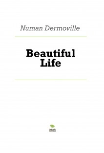 Beautiful Life