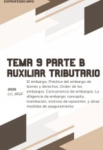 Libro Tema 9. Parte B. El embargo. Práctica del embargo de bienes y derechos. Orden de los embargos. Concurrencia de embargos. La diligencia de embargo: concepto, tramitación, motivos de oposición, y otras medidas de aseguramiento, autor EDICIONES PIXEL