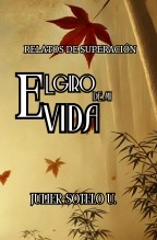 Libro Relatos de Superación: El Giro de Mi Vida, autor Julier del carmen Sotelo urbiñez