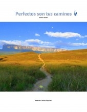 PERFECTOS SON TUS CAMINOS 6