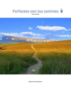 PERFECTOS SON TUS CAMINOS 6