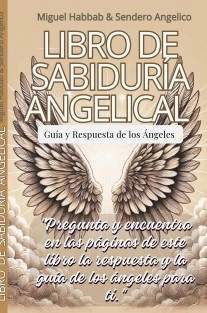 LIBRO DE SABIDURIA ANGELICAL
