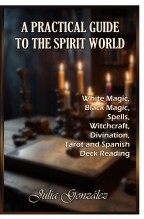 Libro A Practical Guide to the Spirit World (Paper edition), autor Franklin Díaz