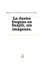 Libro La ilustre fregona en Suajili, sin imágenes., autor Javier Tavera Mas