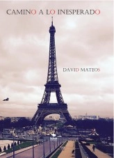 Libro Camino a lo inesperado, autor David Mateos