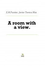 Libro A room with a view., autor Javier Tavera Mas