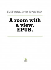 Libro A room with a view. EPUB., autor Javier Tavera Mas