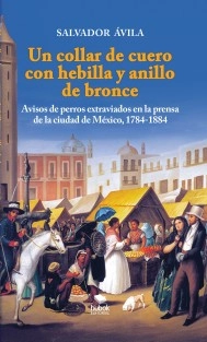 Un collar de cuero con hebilla y anillo de bronce