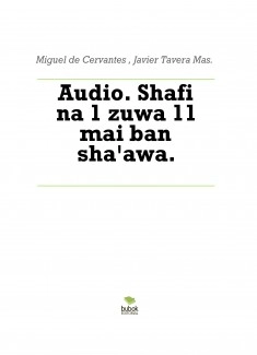 Audio. Shafi na 1 zuwa 11 mai ban sha'awa.