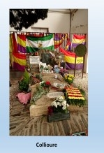 Libro Collioure, autor Carlos Maza Gómez