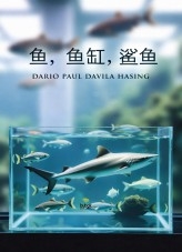 鱼，鱼缸，鲨鱼《捕食者的无声蜕变》