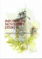 INFORME DE NOVIEMBRE (2025)