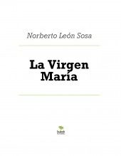 Libro La Virgen María, autor Norberto León Sosa
