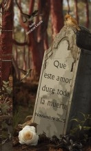 Libro Que este amor dure toda la muerte, autor Horacio Leone