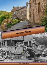 Libro Madame Bovary, autor Rolando José Olivo