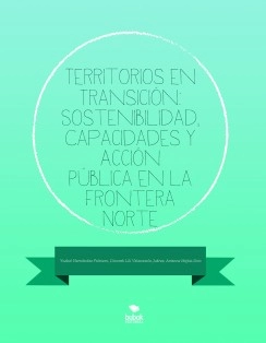 Territorios en Transición: Sostenibilidad, Capacidades y Acción Pública en la Frontera Norte