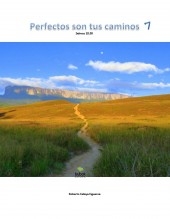 PERFECTOS SON TUS CAMINOS 7