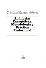 Auditorías Energéticas: Metodología y Práctica Profesional