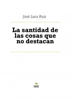La santidad de las cosas que no destacan