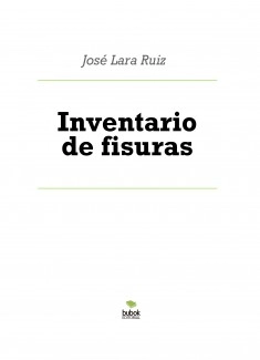 Inventario de fisuras