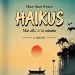 HAIKUS, MÁS ALLÁ DE LA MIRADA