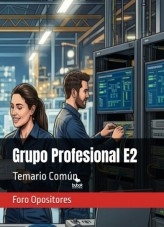 Resumen Grupo Profesional E2 (2026)