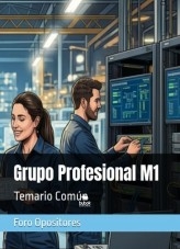 Resumen Grupo Profesional M1 (2026)