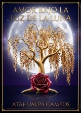 AMOR BAJO LA LUZ DE LA LUNA