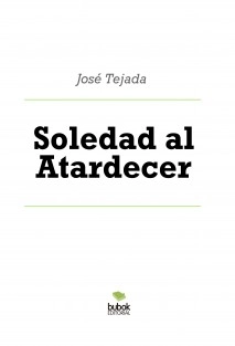 Soledad al Atardecer