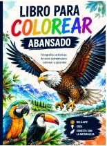 Libro LIBRO DE COLOREAR AVANZADO, autor jefferson mejia