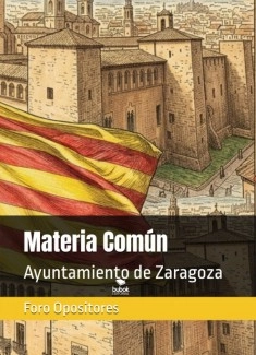 Resumen Parte Común Ayuntamiento Zaragoza