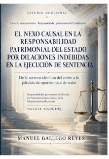 El nexo causal en la responsabilidad patrimonial del estado por dilaciones indebidas