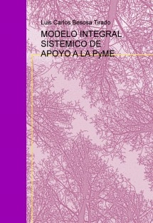 MODELO INTEGRAL SISTEMICO DE APOYO A LA PyME