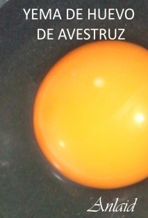 Yema de huevo de avestruz