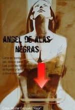 El angel de las alas negras