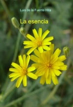 La esencia