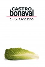Libro Castro Bonaval, autor Salvador Sánchez Orozco