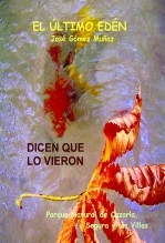 Libro DICEN QUE LO VIERON, autor José Gómez Muñoz