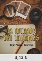 La mirada del irlandés