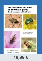 Coleópteros del este de España (1ª parte)